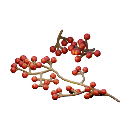 Red Berries  3D Icon