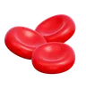 Red Blood Cells