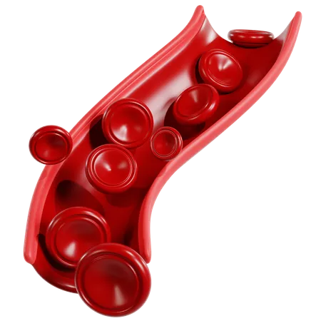 Red Blood Cells in Blood Vessel  3D Icon