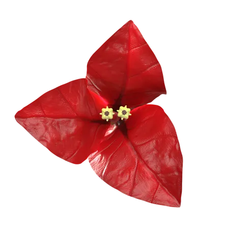 Red Bougenville Flower  3D Icon