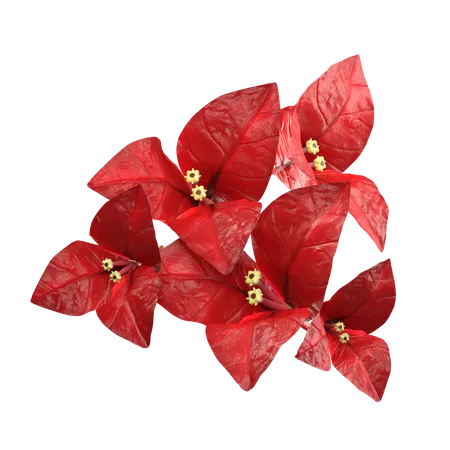 Red Bougenville Flower  3D Icon