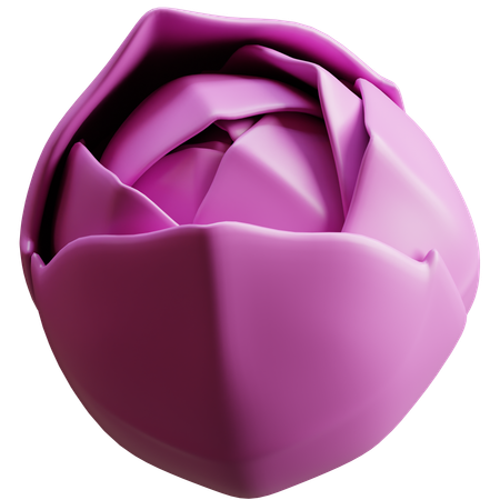 Red Cabbage  3D Icon