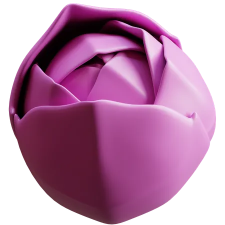 Red Cabbage  3D Icon