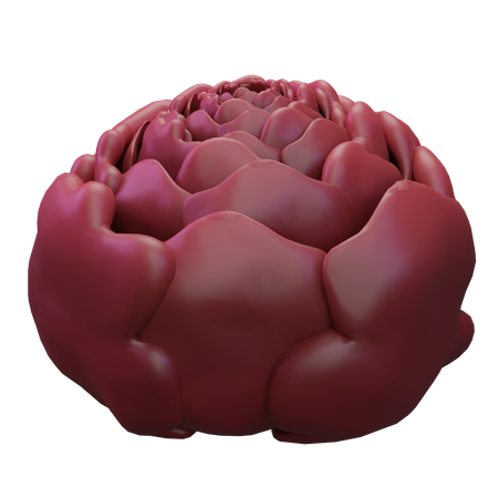 Red Cabbage  3D Icon