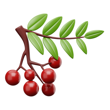 Red Cherry  3D Icon