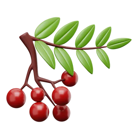 Red Cherry  3D Icon