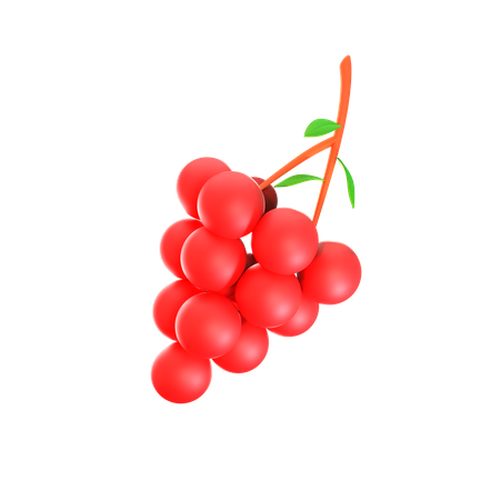 Red Grape  3D Icon