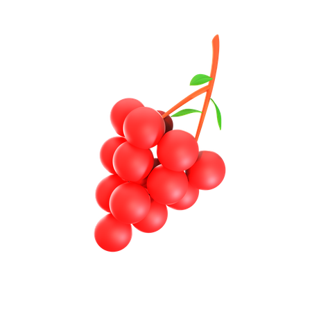 Red Grape  3D Icon