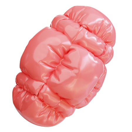 Red inflatable balloon  3D Icon