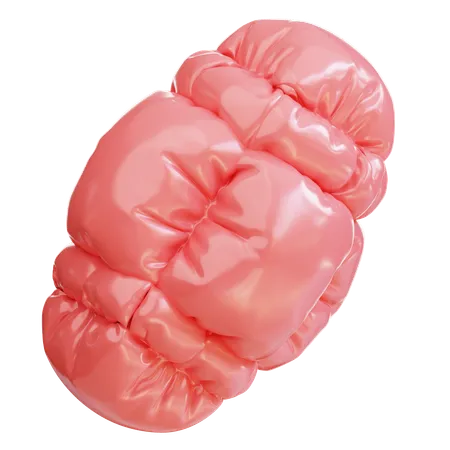 Red inflatable balloon  3D Icon