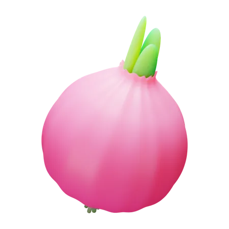 Red Onion  3D Illustration