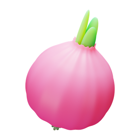 Red Onion 3D Illustration
