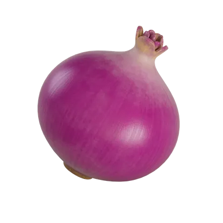 Red Onion  3D Illustration