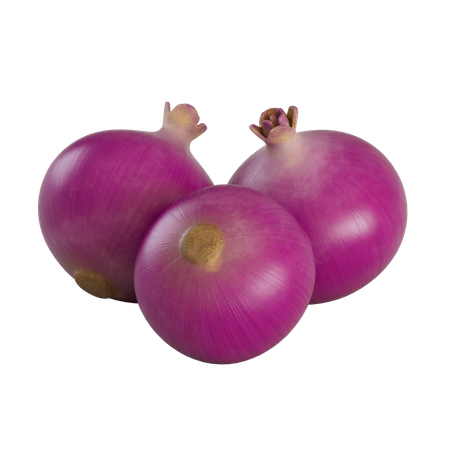 Red Onions  3D Illustration