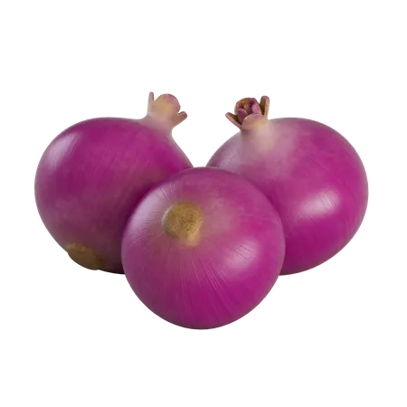 Red Onions  3D Illustration