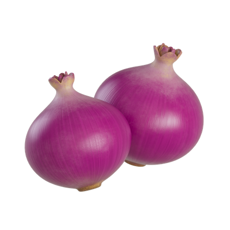 Red Onions  3D Illustration