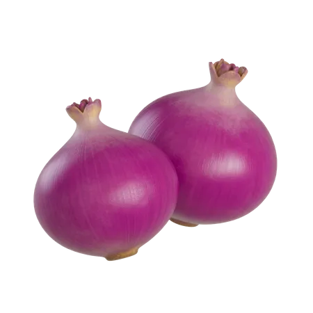 Red Onions  3D Illustration