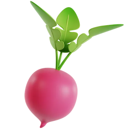 Red Radish  3D Icon