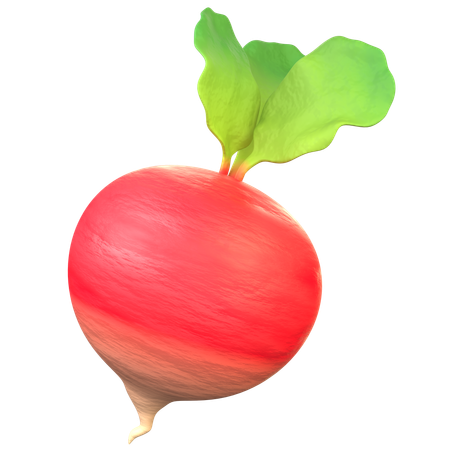 Red Radish  3D Icon