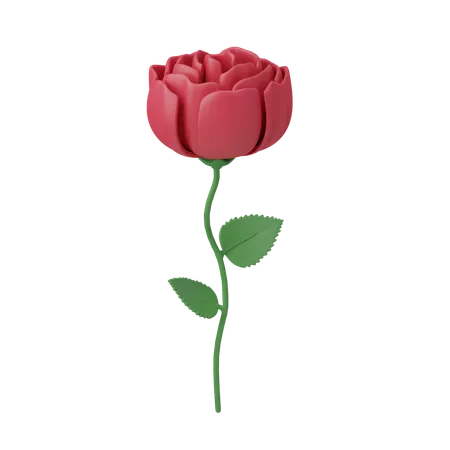 Red Rose  3D Icon