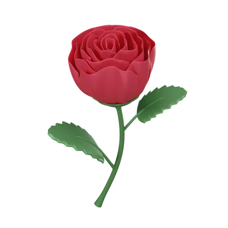 Red Rose  3D Icon