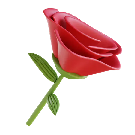 Red Rose  3D Icon