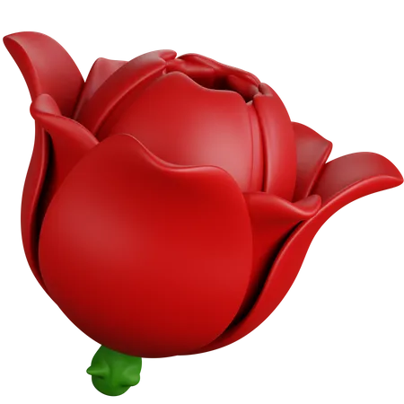 3 D Rendering Attractive Red Rose Isolated 3D Icon