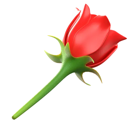Red Rose Flower  3D Icon