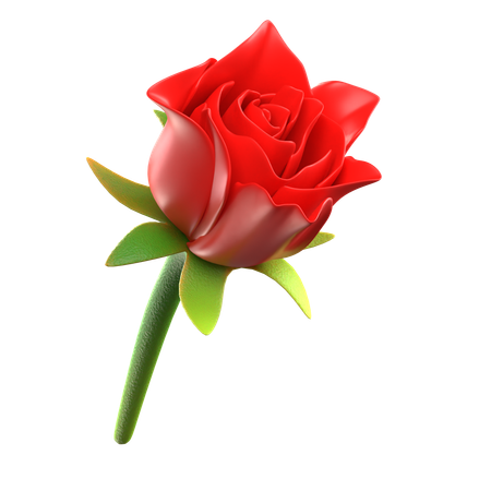 Red Rose Flower  3D Icon