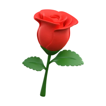 RED ROSE FLOWER  3D Icon