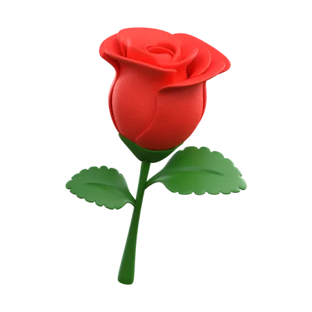 RED ROSE FLOWER 3D Icon