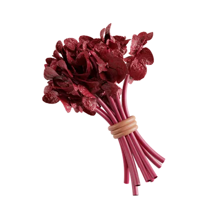 Red spinach  3D Icon