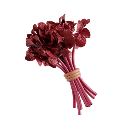 Red spinach  3D Icon