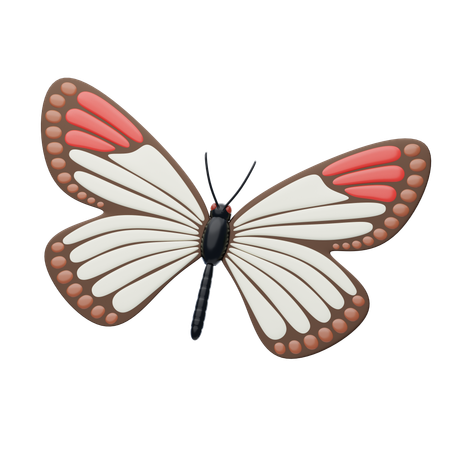 Red Tip Butterfly  3D Icon