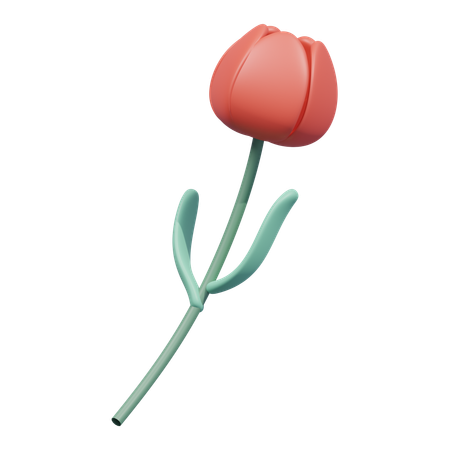 Red Tulip Flower  3D Icon