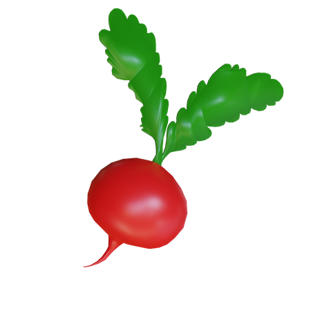 Red Turnip  3D Icon
