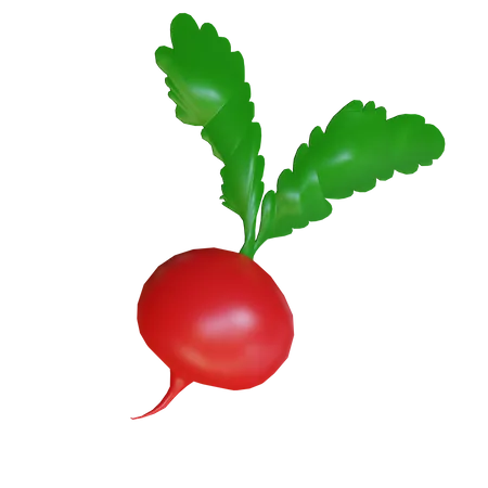 Red Turnip  3D Icon