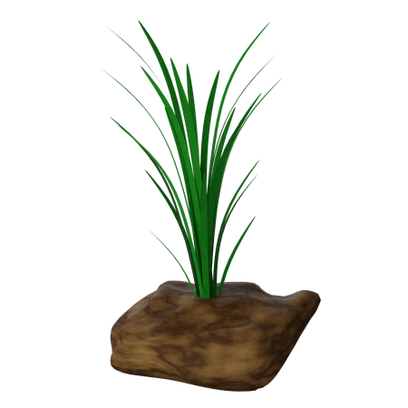 Reeds  3D Icon