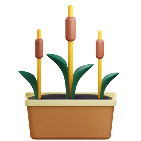 3 D Reeds Illustration With Transparent Background 3D Icon