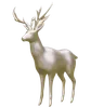 Reindeer