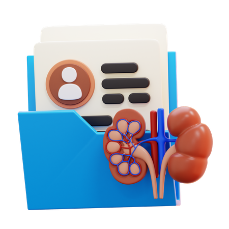 Relatório de saúde renal  3D Icon