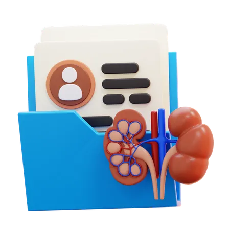 Relatório de saúde renal  3D Icon