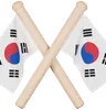 Republic of Korea Flag