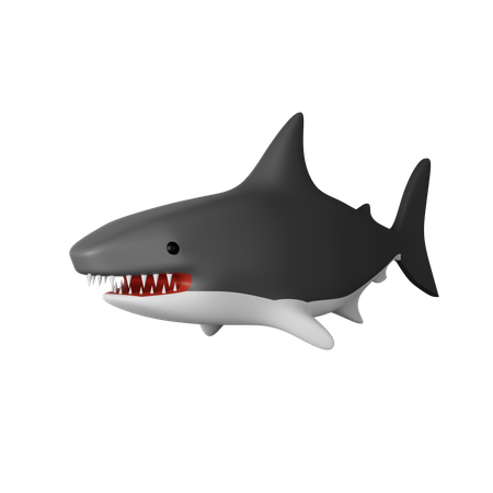 Requin  3D Icon