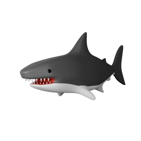 Requin  3D Icon