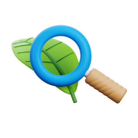 Research  3D Icon