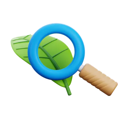 Research  3D Icon
