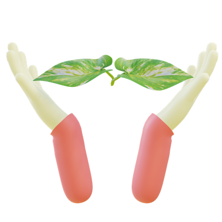 Respectueux de la nature  3D Icon