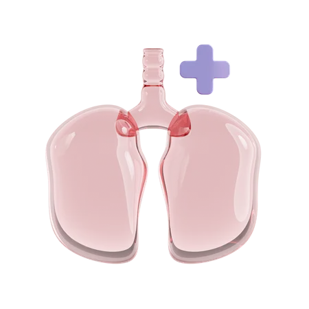 Respiratory Care  3D Icon