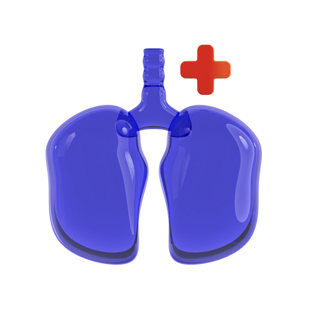 Respiratory Care  3D Icon